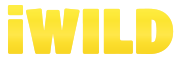 Kasino logo